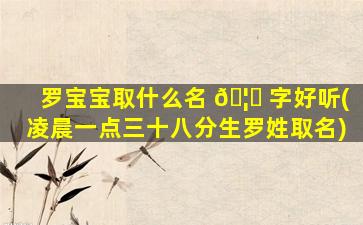 罗宝宝取什么名 🦅 字好听(凌晨一点三十八分生罗姓取名)